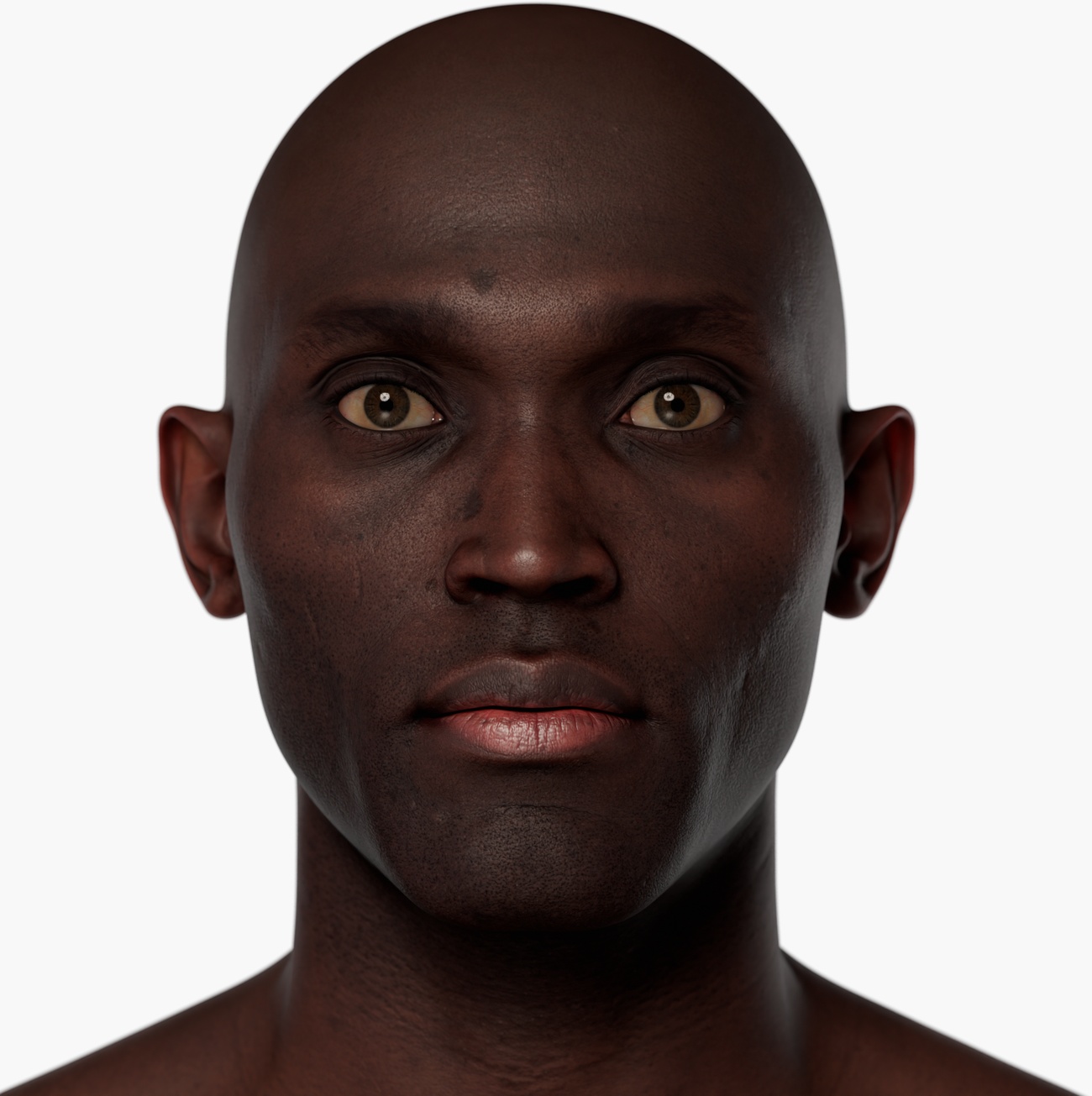Athletic male head scan high-resolution render High-resolution head scan render of a lean athletic male with smooth skin and strong facial features